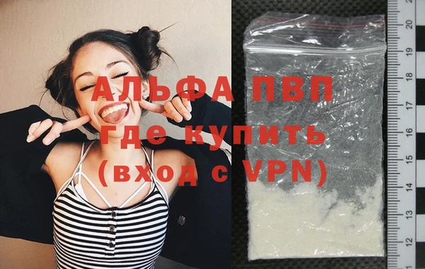 сатива Бронницы