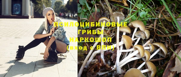 гашишное масло Богородск