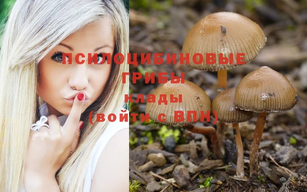 скорость Богородицк