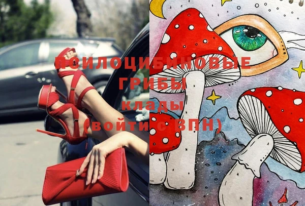 тгк Богданович
