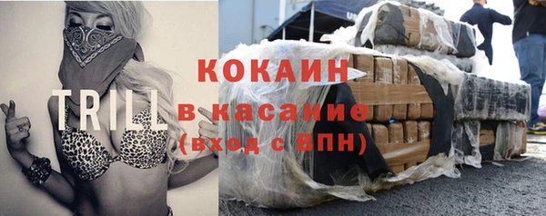 тгк Богданович