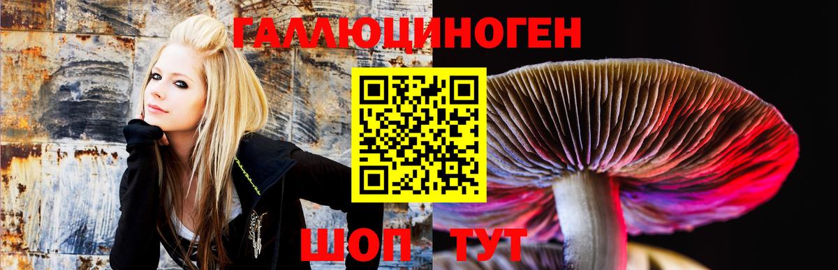 Галлюциногенные грибы прущие грибы  Псилоцибиновые грибы MAGIC MUSHROOMS  Свободный  Вход с VPN 